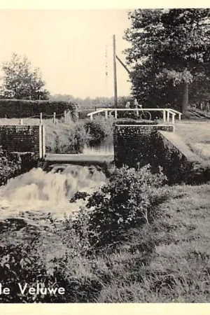 Watervalletje op de Veluwe 1959 HC59065 Ostatnia szansa