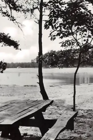 Premium Nunspeet Zandenplas Veluwe HC59057