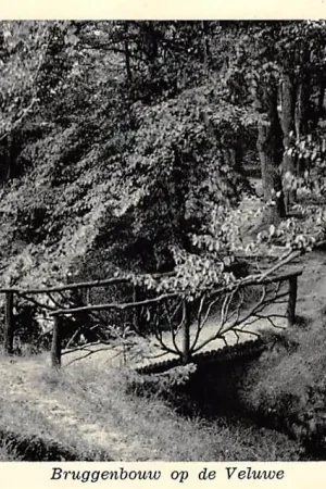 Promocja Nunspeet Bruggen bouw op de Veluwe HC58582
