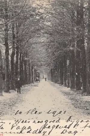 Apeldoorn Marialaan 1900 Veluwe HC57617 Autentyczny