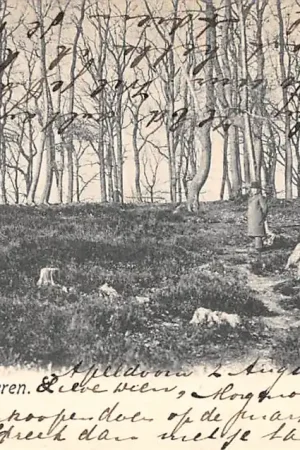 Darmowa dostawa Hoog-Soeren Dassenberg 1900 Hoog Soeren Apeldoorn Veluwe HC57469