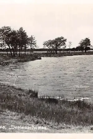 Hoenderloo Hoge Veluwe Deelenschewas 1950 HC57114 Niska cena