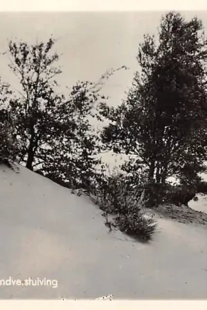 Szybka dostawa Otterlo Berken in Zandverstuiving 1956 Veluwe HC57078