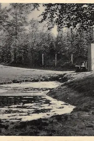 Apeldoorn Pompheul HC57074 Premium