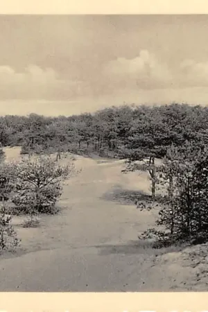 Ostatnia szansa Nunspeet Zandkuil Belvedèrebosch 1934 Veluwe HC56838