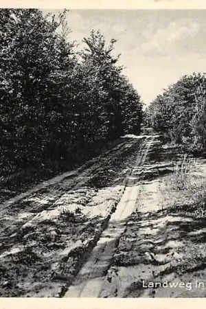 Ekspresowa dostawa Nunspeet Landweg in het Nunspeeterbosch 1938 Veluwe HC56835