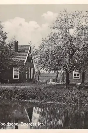 Popularny Winterswijk Typische Wooldsche Boerderijen 1948 HC56714