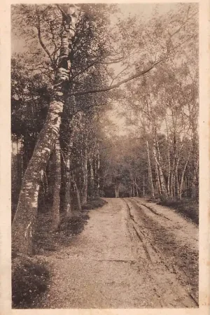 Montferland Eltenscheweg Zeddam HC56639 Darmowa dostawa