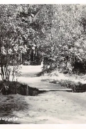 Ugchelen Schapen bruggetje 1952 Veluwe Apeldoorn HC56425 Oferta limitowana