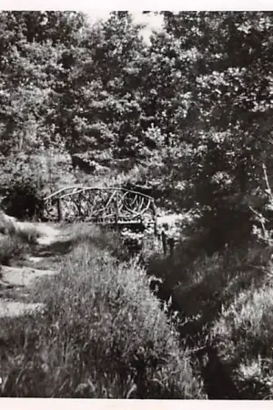 Ugchelen Koolsprengen met brugje 1950 Veluwe Apeldoorn HC56424 Oferta