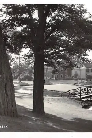 Apeldoorn Wilhelminapark met houten' bruggetje 1952 HC55719 Tylko dziś