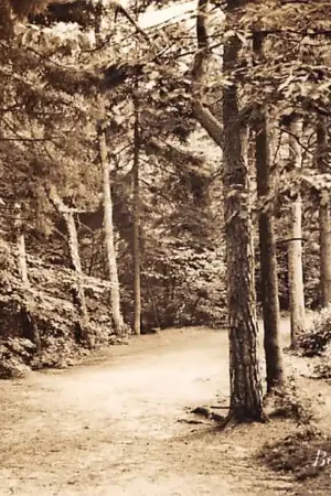 Berg en Dal Duivelsberg 1956 Nijmegen HC56122 Tylko dziś