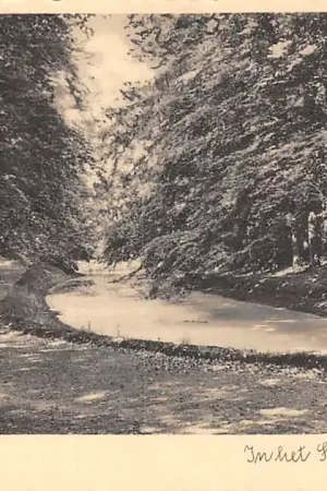 Barneveld In het Schaffelaarschebosch Veluwe 1933 HC54324 Ekspresowa dostawa