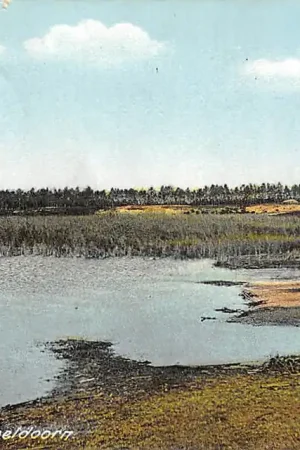 Ekspresowa dostawa Uddel Uddelermeer bij Apeldoorn 1929 Veluwe HC54245