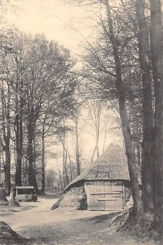 Autentyczny Veluwe Aan den Zoom van een Veluwsch bosch HC54199