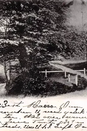 Wageningen Wageningsche Berg 1902 HC54155 Oferta limitowana