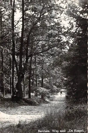 Barchem Weg naar de Koepel Lochem HC53003 Zwrot pieniędzy