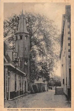 Harderwijk Academiestraat met Linnaeustoren 1935 HC52629 Nowość