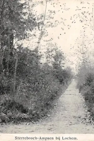 Oryginalny Lochem Sterrebosch - Ampsen 1912 HC52752