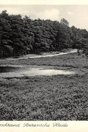 Tani Hoog-Soeren Boschrand Soerensche Heide 1938 Veluwe HC51671