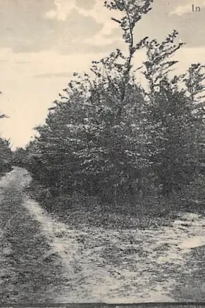 Laag-Soeren In de Soerensche Bosschen 1927 Veluwe HC51669 Oryginalny