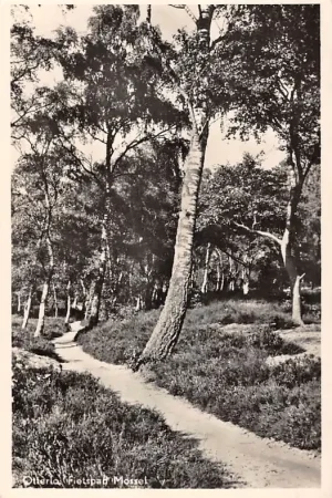 Otterlo Fietspad Mossel 1950 Veluwe HC51654 Autentyczny