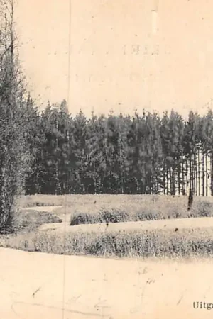 Ekspresowa dostawa Ellecom Myladysberg 1905 Veluwe HC51642