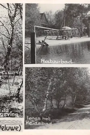 Epe Vacantieoord Heidebad Veluwe In de omgeving Natuurbad en langs het Heidebad HC51479 Niska cena