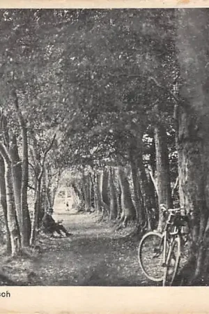 Ekspresowa dostawa Harderwijk Uitweg van 't Slingerbosch 1932 HC51433
