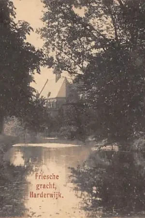 Harderwijk Friesche Gracht 1916 HC51413 Najlepsza cena