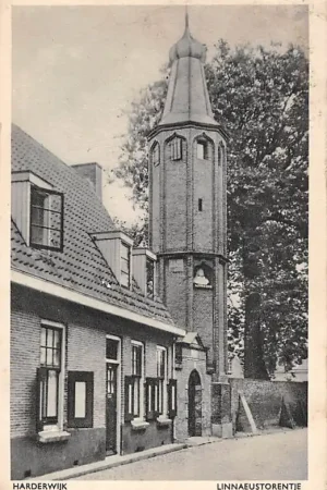 Harderwijk Linnaeustorentje Academiestraatje 1947 HC51394 Premium