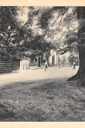 Drie Langs het Boschhuis Ermelo Veluwe HC50767 Wysoka jakość