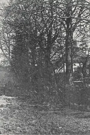 Ostatnia szansa Eibergen Mallem 1925 Achterhoek HC49246