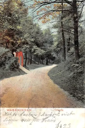 Wageningen Holleweg 1904 HC49079 Darmowa dostawa