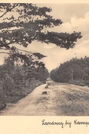 Epe Landweg bij Kampeerterrein De Hertekolk 1938 Veluwe HC50220 Najlepsza cena