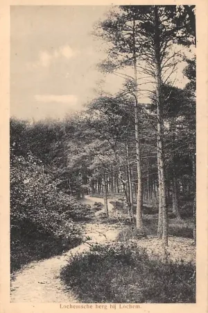 Tylko dziś Lochem Lochemsche berg rond 1910 HC48511