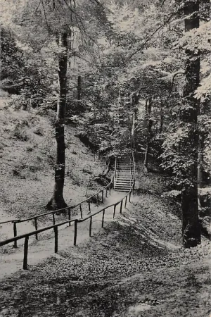 Tani Didam Trap Oostzijde Het Montferland 1941 HC48510