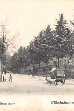 Zamów teraz Winterswijk Wilhelminastraat HC48487