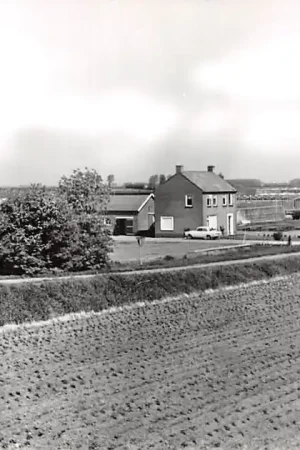 Tuil Bouwing 1969 Haaften Neerijnen Tielerwaard HC48203 Wysoka jakość