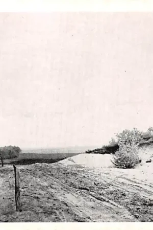 Autentyczny Hoog Soeren Weg naar Haslo 1953 Apeldoorn Veluwe HC48103