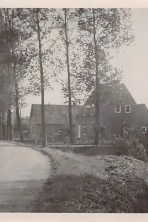 Hien Tielschestraat Neder - Betuwe 1948 HC48032 Wysoka jakość