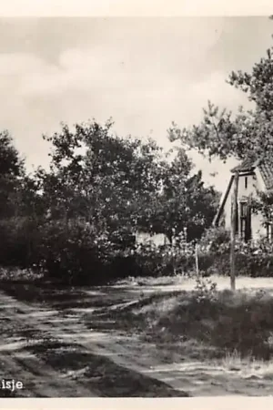 Putten Veluwsch huisje 1944 Veluwe HC48014 Tylko dziś