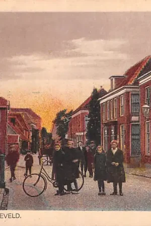 Barneveld Langstraat Veluwe HC47954 Promocja