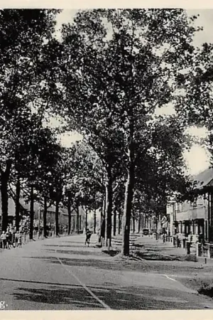 Oryginalny Zevenaar Arnh. weg HC47888