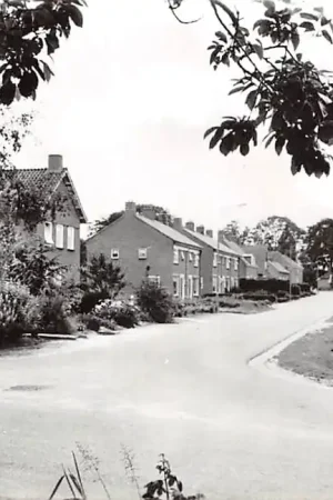 Rekken Lindevoort Berkelland Achterhoek 1967 HC47303 Szybka dostawa