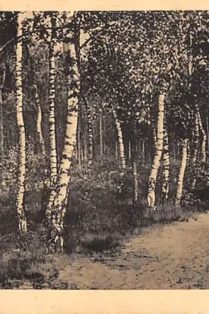 Wysoka jakość Ede Berken Sijselt Veluwe 1937 HC47282