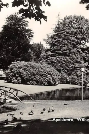 Apeldoorn Wilhelminapark Houten bruggetje 1961 HC47270 Oryginalny