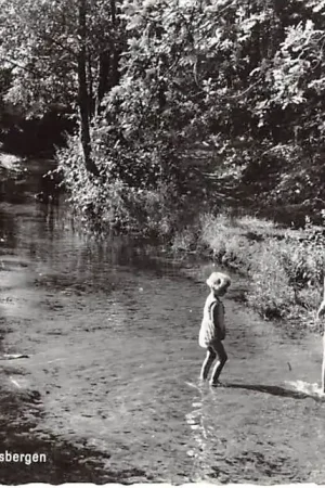Heerde Waterpartij Vosbergen 1966 Veluwe HC47231 Zamów teraz