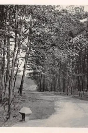 Zwrot pieniędzy Putten De Laak Veluwe 1944-45 HC47495