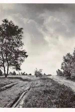 Ede De Veluwe 1956 HC46762 Szybka dostawa